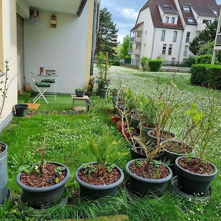 L'Univers Au Blanc. Strasbourg Exterior foto