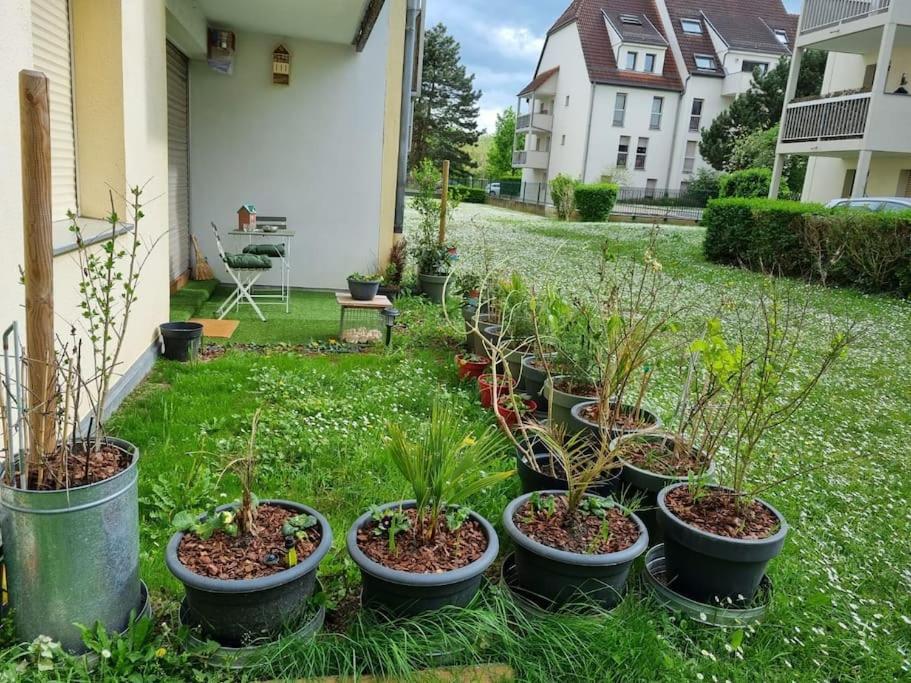 L'Univers Au Blanc. Strasbourg Exterior foto